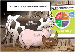 FDA CHOOSE MY FEED FOOD PLATE FOR FOOD ANIMALS- by R.J. Matson