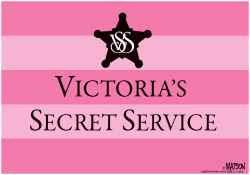 VICTORIAS SECRET SERVICE- by R.J. Matson