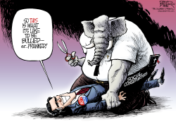 Romney Bullied  by Nate Beeler