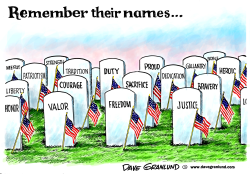 MEMORIAL DAY NAMES by Dave Granlund