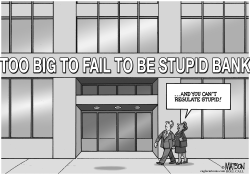 TOO BIG TO FAIL TO BE STUPID BANK by RJ Matson