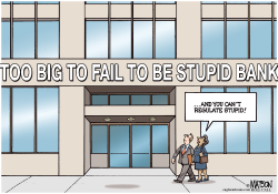 TOO BIG TO FAIL TO BE STUPID BANK- by RJ Matson