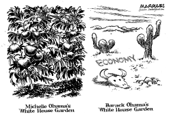 WHITE HOUSE GARDENS by Jimmy Margulies