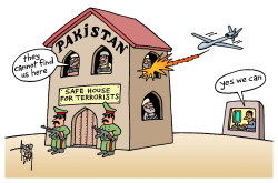 PAKISTAN AND DRONES by Arend Van Dam