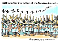 G20 MEXICO SUMMIT  by Dave Granlund