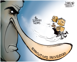 OBAMA AND EXECUTIVE PRIVILEGE  by John Cole