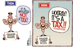 OBAMACARE TAX  by Rick McKee