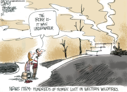 TWICE BURNED  by Pat Bagley