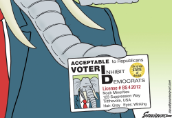 VOTER ID CARD by Steve Greenberg