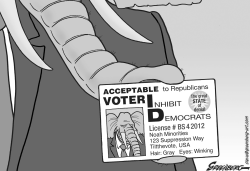 VOTER ID CARD BW by Steve Greenberg