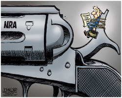 NRA AND CONGRESS  by John Cole