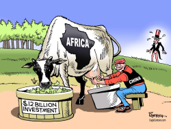 CHINA AND AFRICA by Paresh Nath