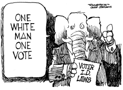 VOTER ID LAWS by Bill Schorr