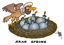 ARAB SPRING - EGG BOMBS by Arend Van Dam