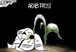 ARAB FROST by Jeff Darcy