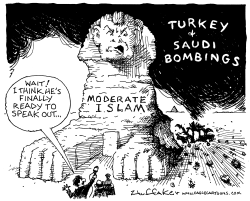 TURKEY BOMBINGS by Sandy Huffaker