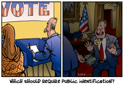 VOTER ID VS CAMPAIGN CONTRIBUTOR ID by Kirk Anderson