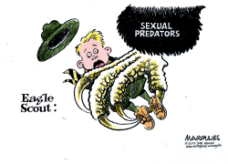 BOY SCOUTS ABUSE COLOR by Jimmy Margulies