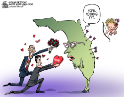 LOCAL FL CANDIDATES COURT FLORIDA by Jeff Parker