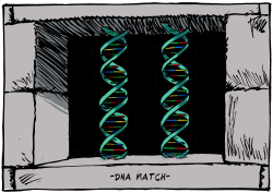 COLD CASE DNA MATCH by Tom Janssen