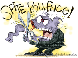 TO SPITE YOUR FACE  by Daryl Cagle