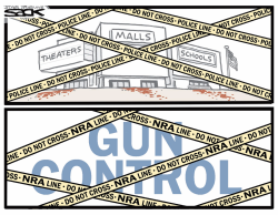 GUN CONTROL by Steve Sack