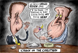 CRACK IN THE COALITION by Brian Adcock