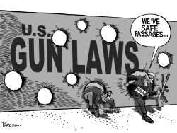 GUN LAWS LOOPHOLES by Paresh Nath