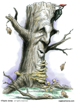 JOHN KERRY TAPPED FOR STATE DEPT -  by Taylor Jones
