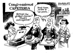 CONGRESSIONAL PORK by Jimmy Margulies