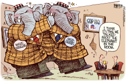 GOP ELEPHANT IN THE ROOM  by Rick McKee