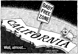 LOCAL-CA DECLINING CALIF BIRTHRATE by Monte Wolverton