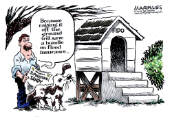 SUPERSTORM SANDY AND FLOOD INSURANCE  by Jimmy Margulies