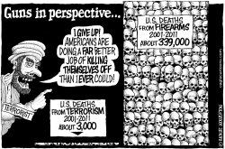 GUNS IN PERSPECTIVE by Monte Wolverton