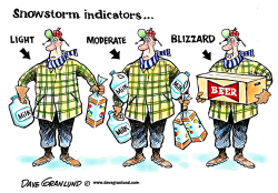 SNOWSTORM INDICATORS by Dave Granlund