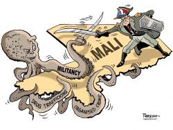 MALI CHALLENGES by Paresh Nath
