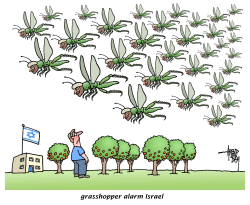 GRASSHOPPER ALARM by Arend Van Dam