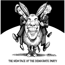 THE NEW FACE OF THE DEMOCRATIC PARTY by R.J. Matson