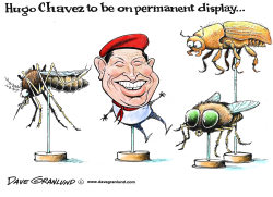 Hugo Chavez on display by Dave Granlund