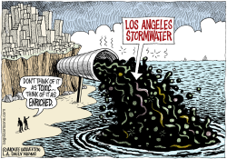 LOCAL-CA LOS ANGELES STORMWATER  by Monte Wolverton