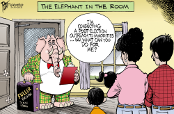 ELEPHANT IN THE ROOM by Bruce Plante
