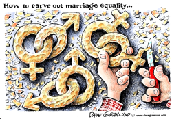 MARRIAGE EQUALITY by Dave Granlund
