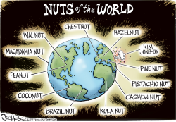 NUTS by Joe Heller