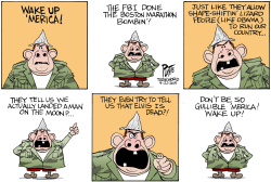 WAKE UP AMERICA by Bruce Plante