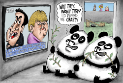 WILL THE PANDAS MATE, WILL THE POLITICIANS AGREE by Brian Adcock
