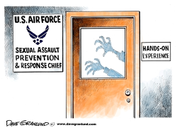 USAF SEXUAL ASSAULT DIVISION by Dave Granlund