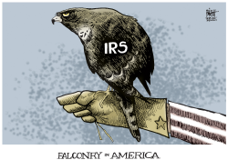 IRS,  by Randy Bish