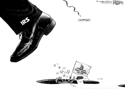 IRS AND THE TEA PARTY by Nate Beeler