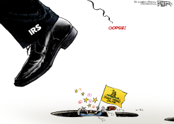 IRS AND THE TEA PARTY  by Nate Beeler