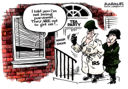 IRS AND TEA PARTY COLOR by Jimmy Margulies